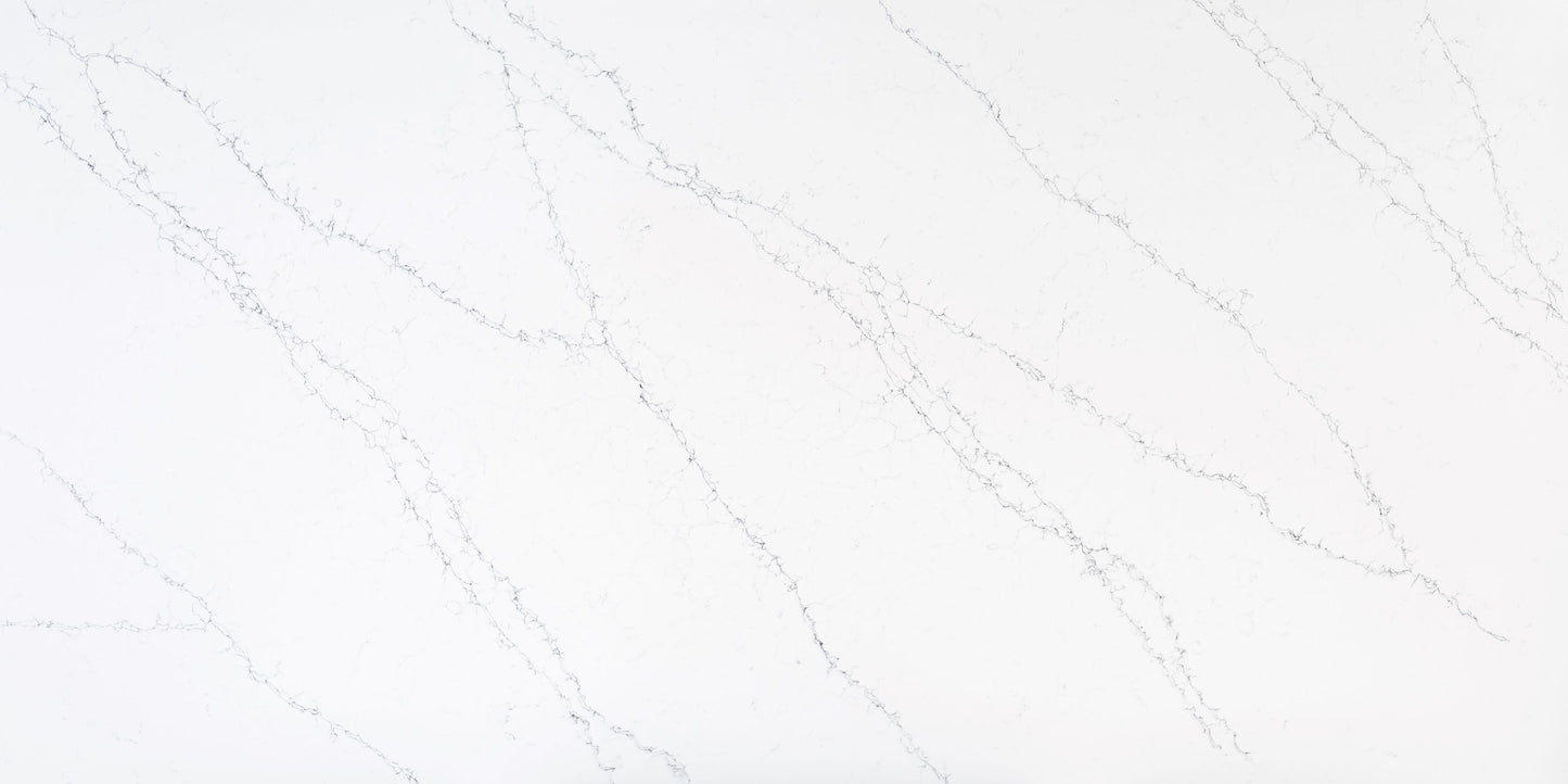 FE408 - CALACATTA LIZARD