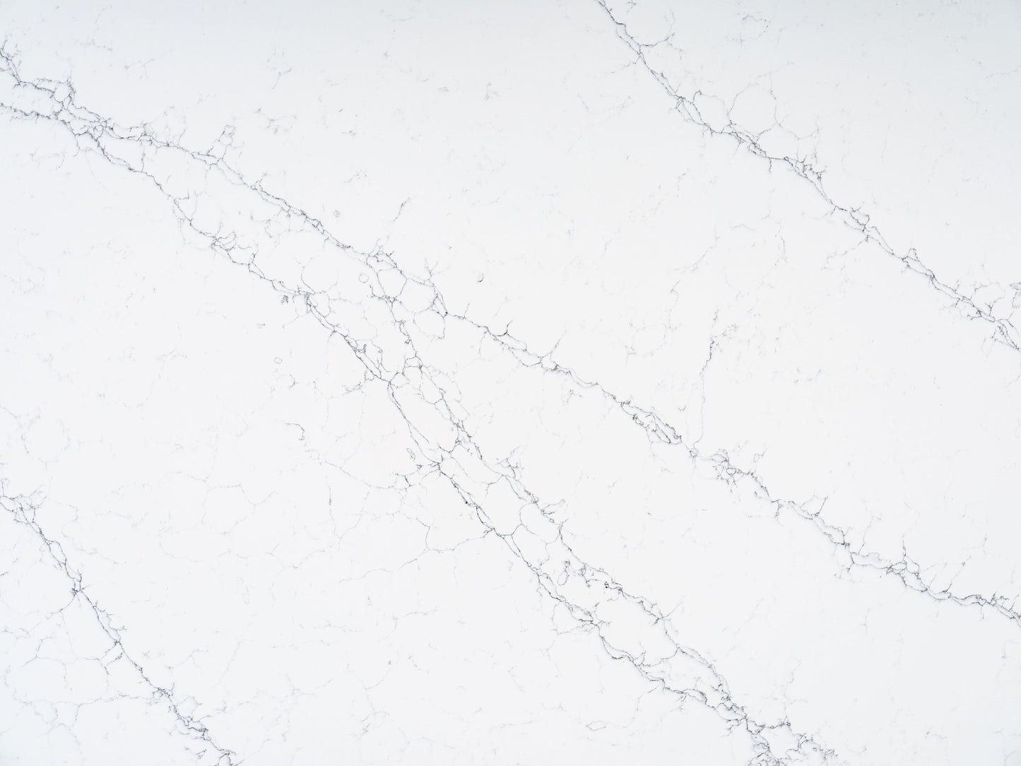 FE408 - CALACATTA LIZARD