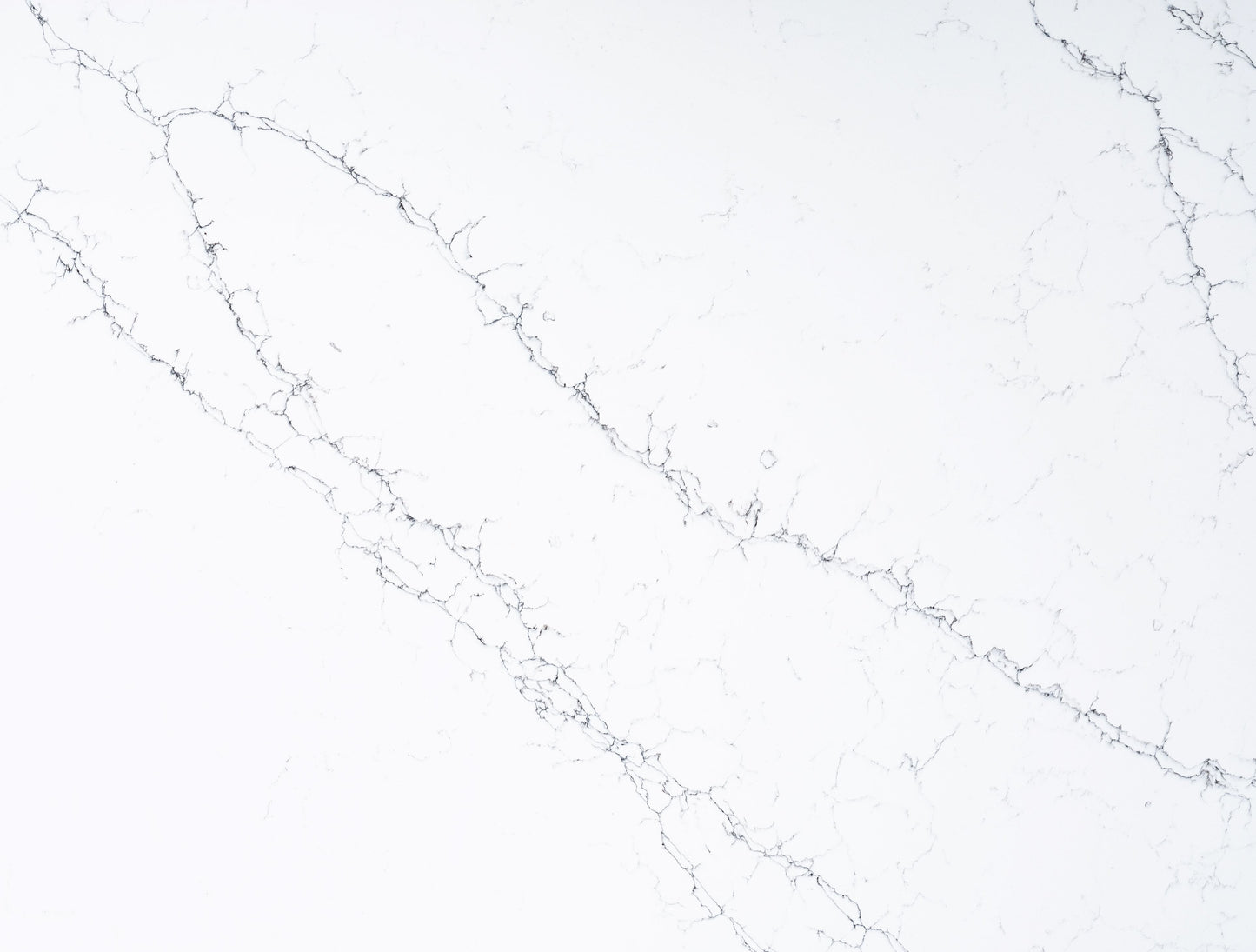 FE408 - CALACATTA LIZARD