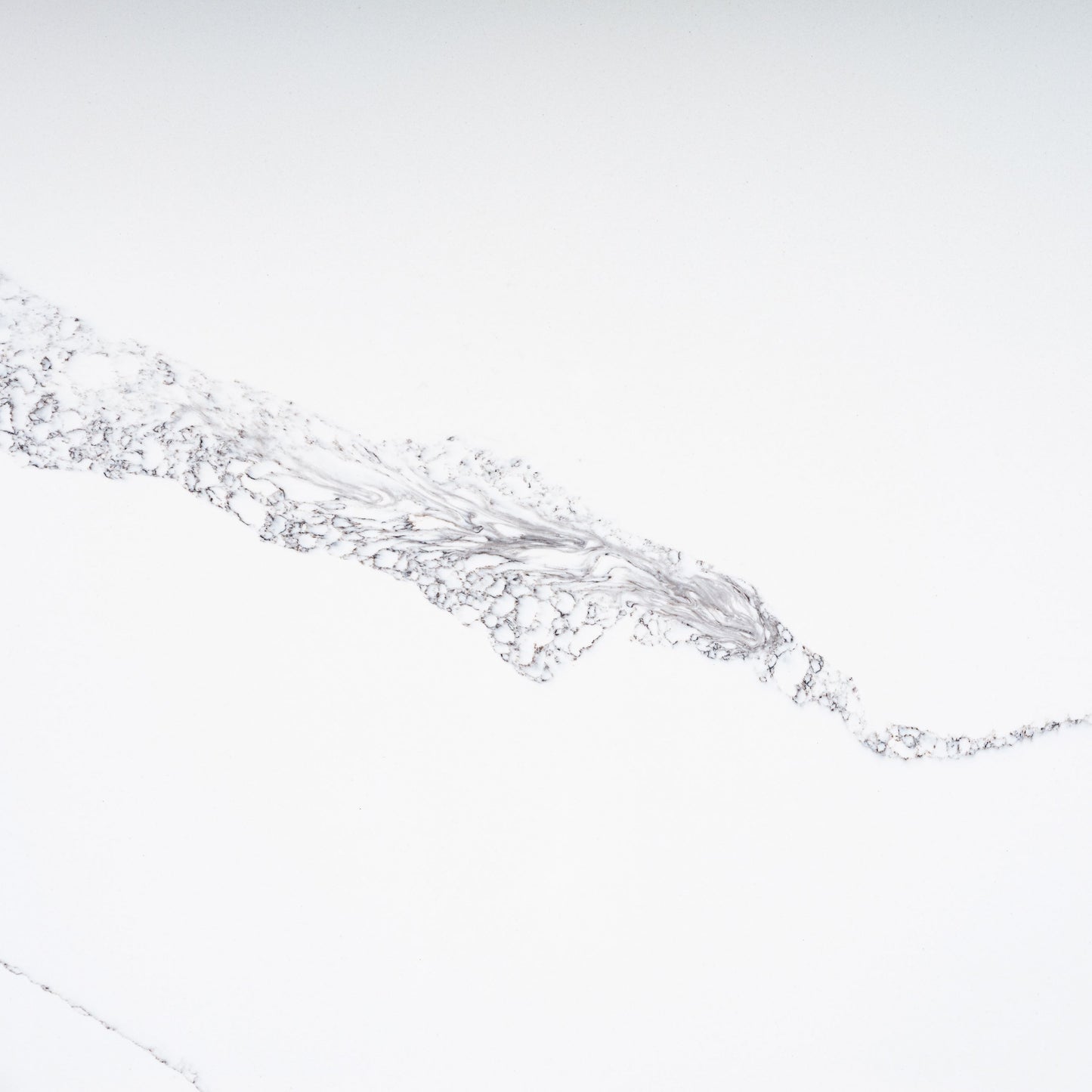 FE313 - STATURIO BIANCA