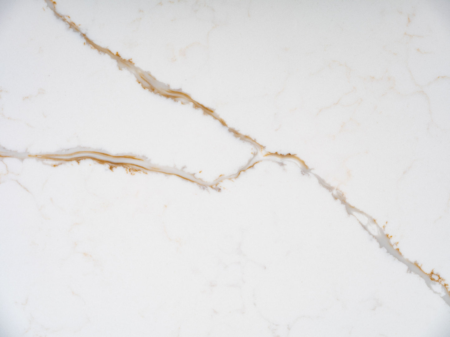 FE426 - TORONTO WHITE