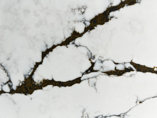 FE624 - LIGHTENING NOIR