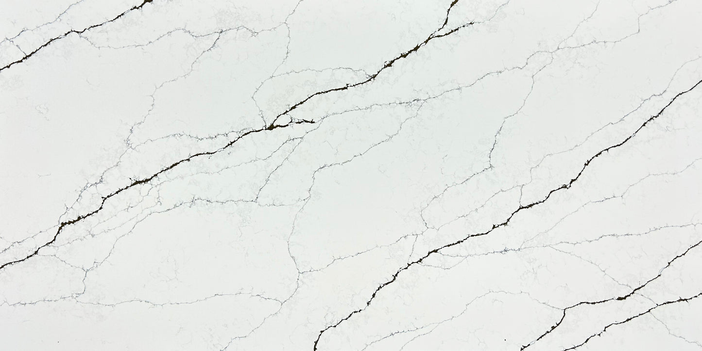 FE624 - LIGHTENING NOIR